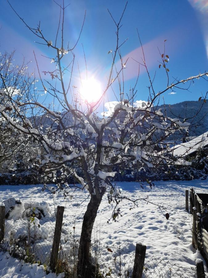 Samoens Studio Dış mekan fotoğraf