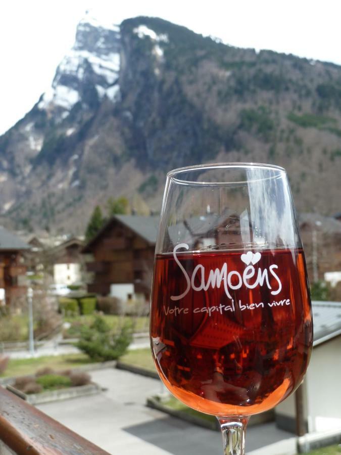 Samoens Studio Dış mekan fotoğraf