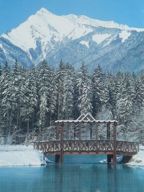 Samoens Studio Dış mekan fotoğraf
